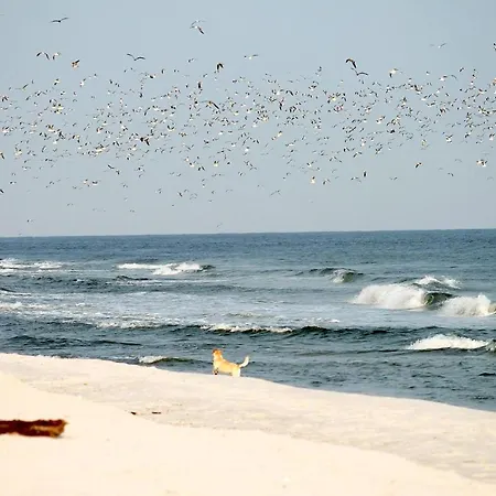 Beach'n'sea 7 * Grömitz