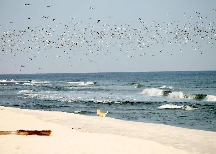 Beach'n'sea 7 * Grömitz